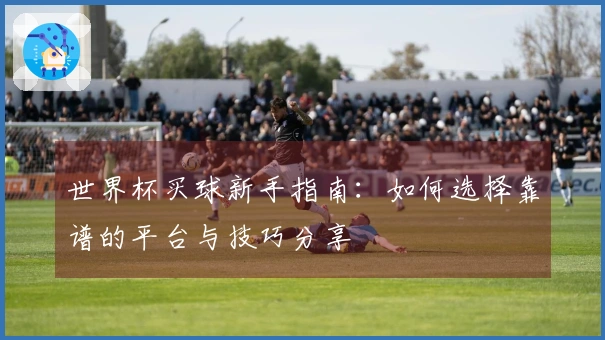世界杯买球新手指南：如何选择靠谱的平台与技巧分享